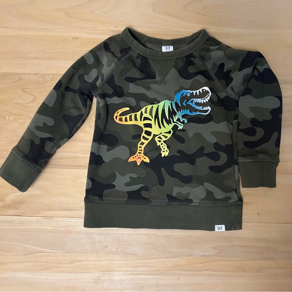 Baby GAP Camo Dinosaur Sweatshirt